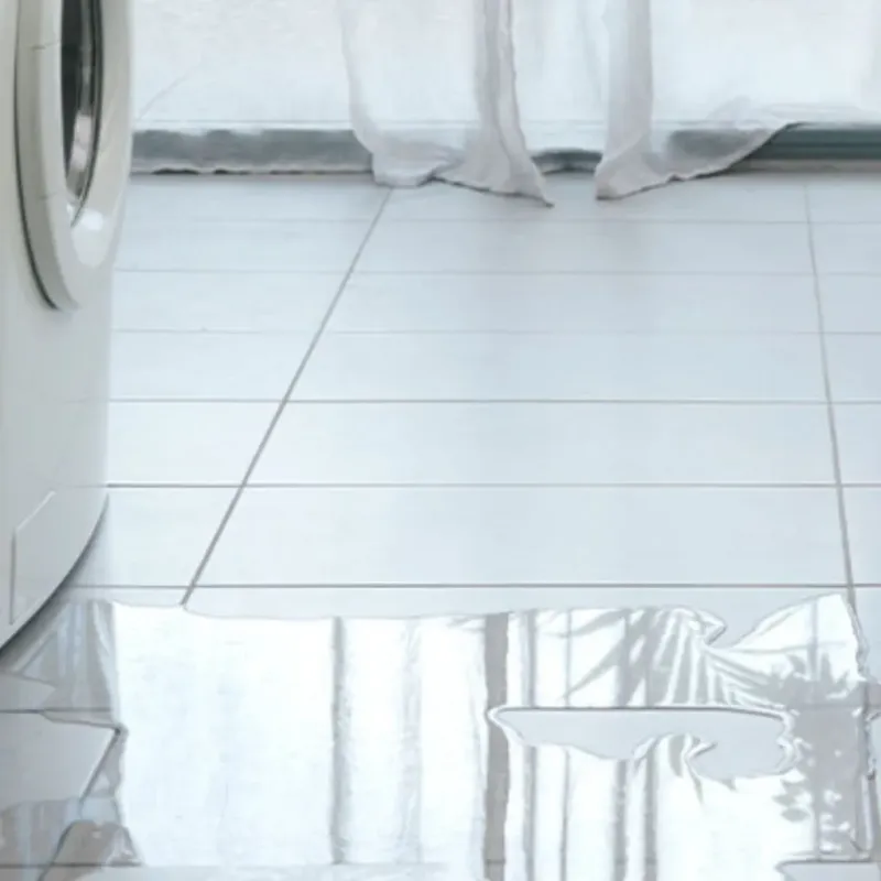 Appliance Leak Cleanup in North DeLand, FL