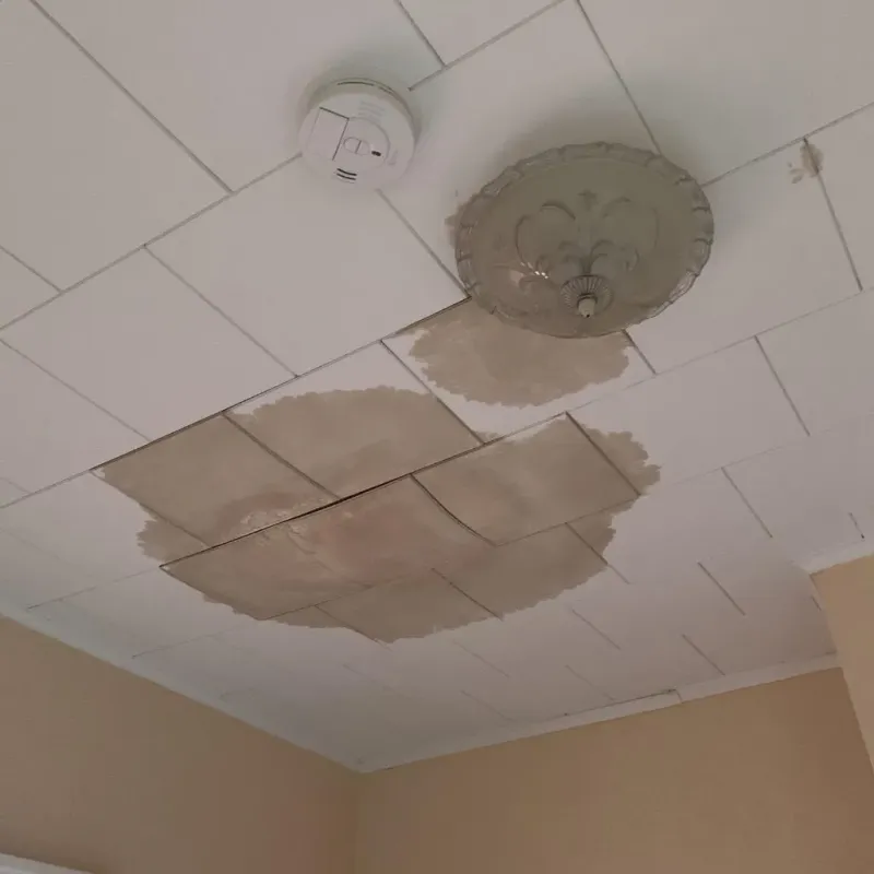 Ceiling Water Damage Repair in North DeLand, FL