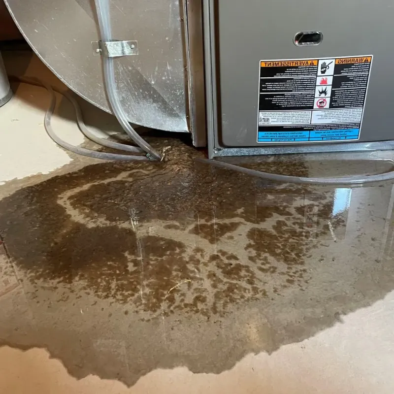 Pipe Burst and Leak Restoration in North DeLand, FL